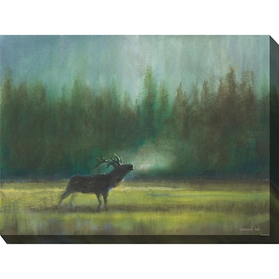 In the Wild All Weather Outdoor Wall Décor