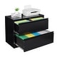 2 Drawer File Cabinet with Lock, Filing Cabinets, Steel Lateral File ...