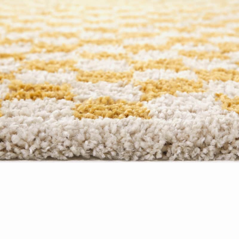 Covey Plush Checkered Thick Shag Area Rug