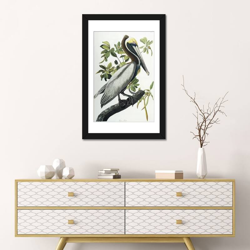 iCanvas "Brown Pelican, 1835 " by John James Audubon