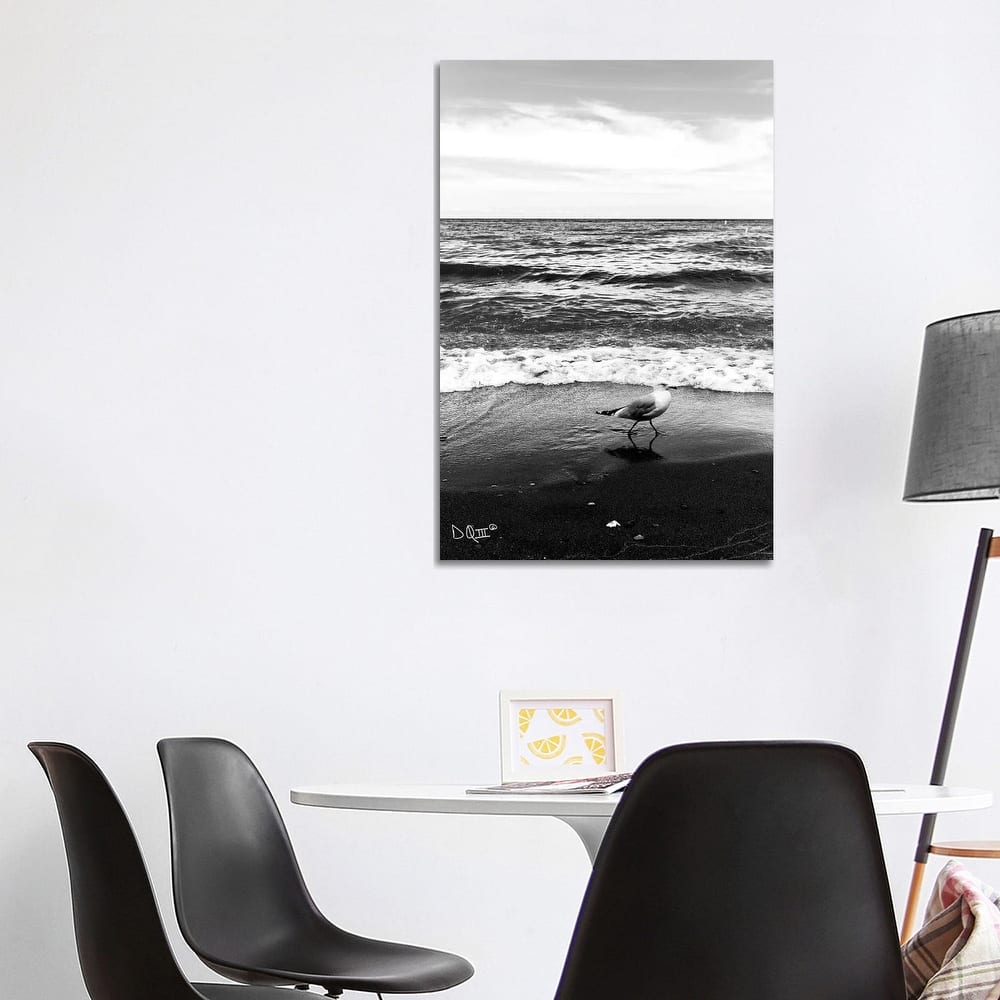 iCanvas "Seagull I" by Donnie Quillen Canvas Print