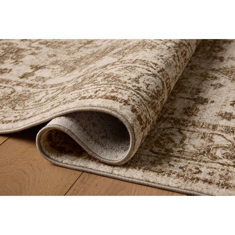 Alexander Home Halden Traditional Area Rug
