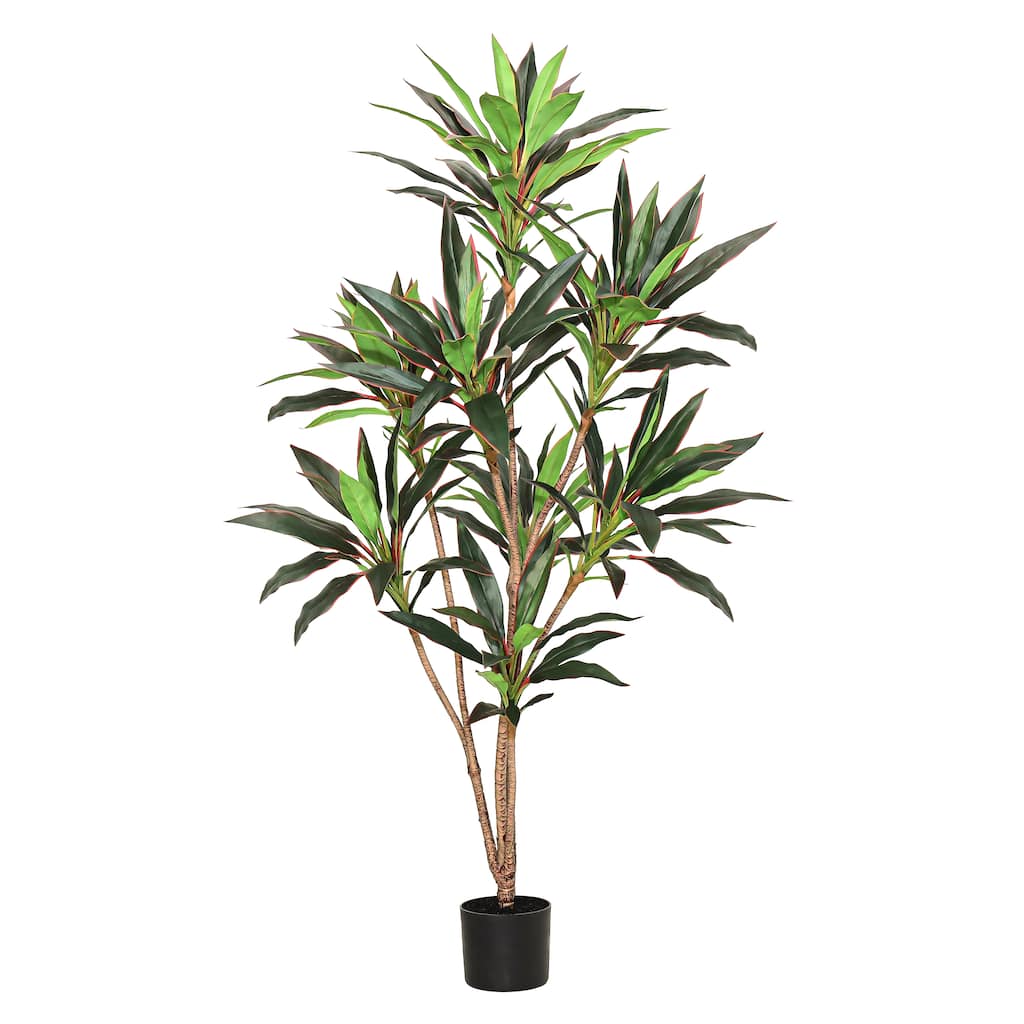 5ft Real Touch Green Red Dracaena Tree Plant in Black Pot - 60" H x 30" W x 30" DP