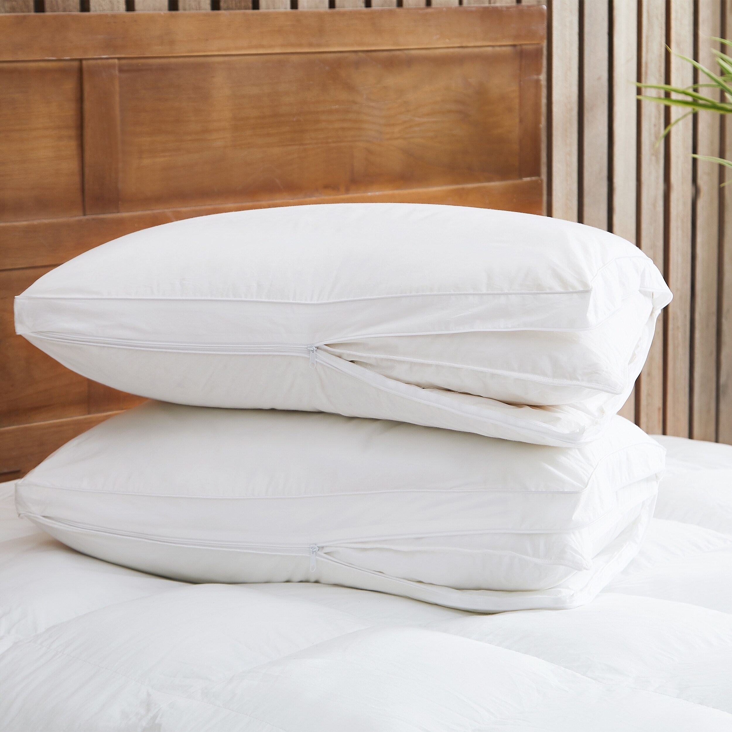 Hypoallergenic down pillows shop