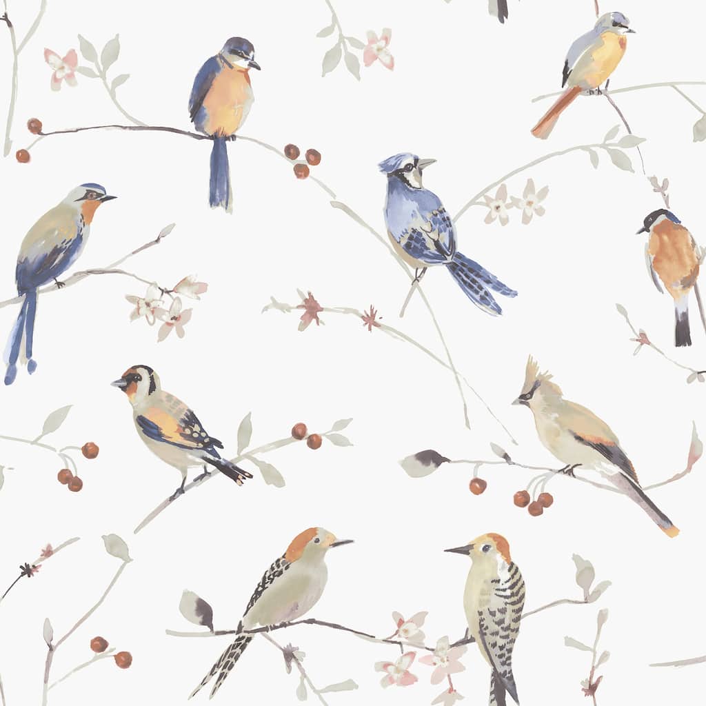 Chesapeake Birdsong Orange Trail Wallpaper