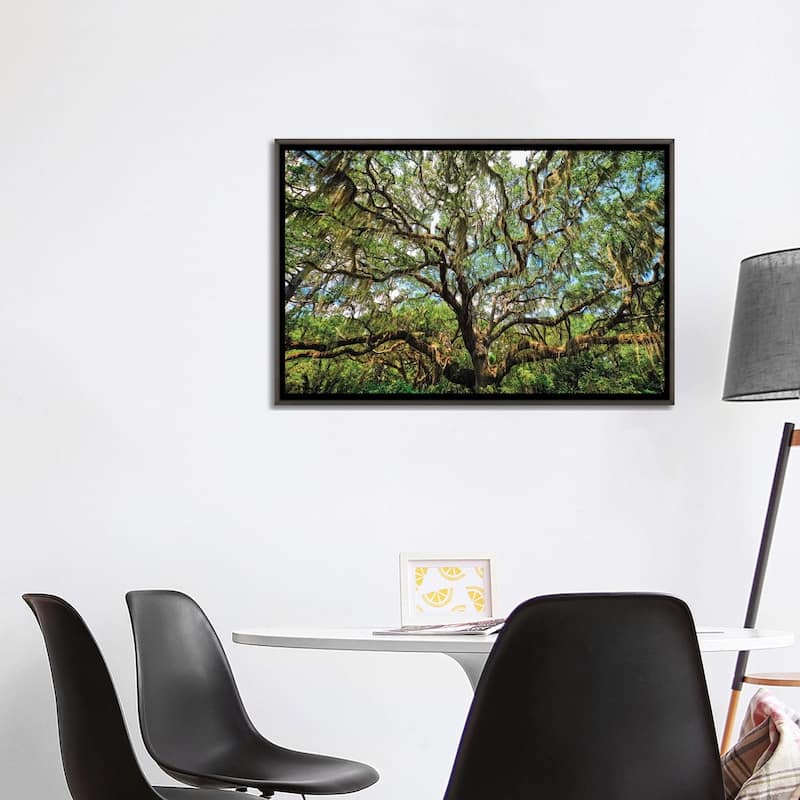 iCanvas "Live Oak Tree Canopy With Spanish Moss, Charleston, South Carolina" by George Oze Framed