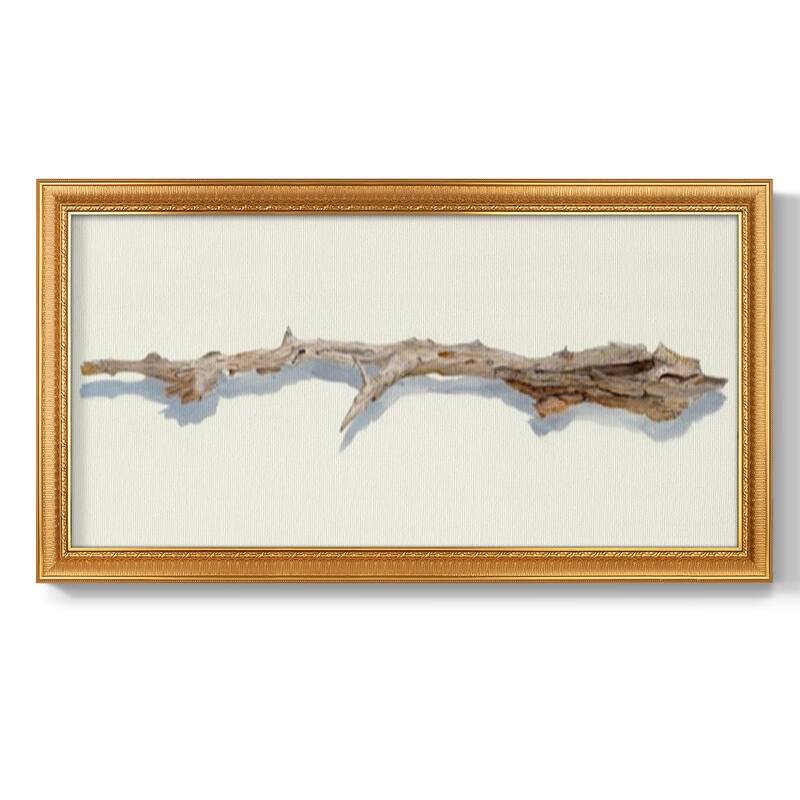 Driftwood Study I Premium Framed Canvas- Ready to Hang