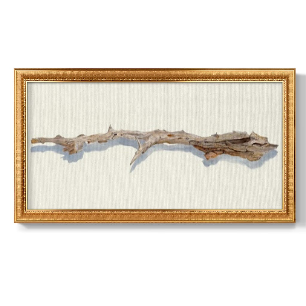 Driftwood Study I Premium Framed Canvas- Ready to Hang