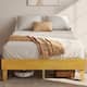 Option Natural Wood