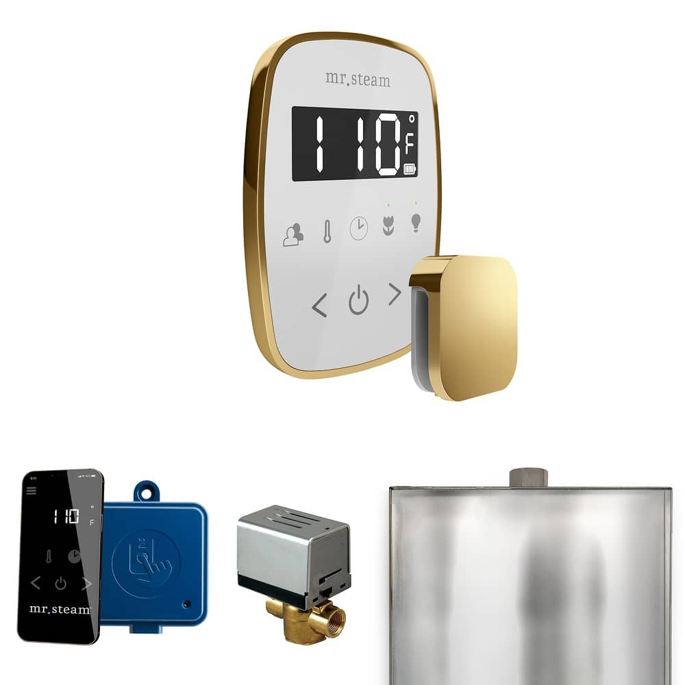 Mr Steam BF Butler Flex Package Steam Shower Control Package with