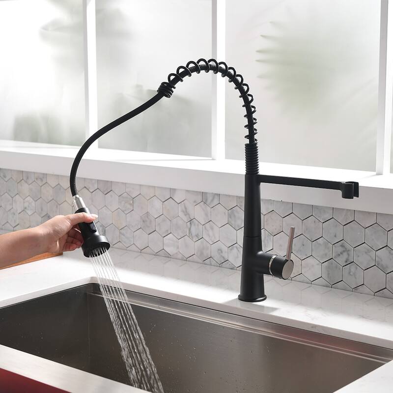 Single-Handle Pull-Down Sprayer Kitchen Faucet with 2-Function Sprayhead