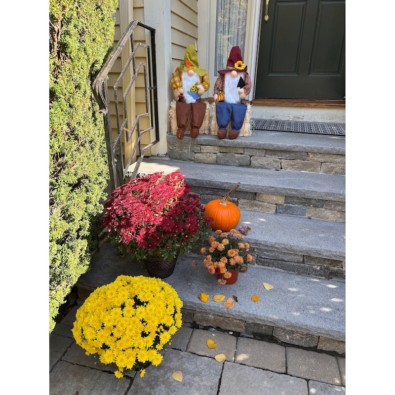 24" Sitting Scarecrow Gnome on Bale, Set of 2