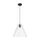 Option Clear Shade / Matte Black