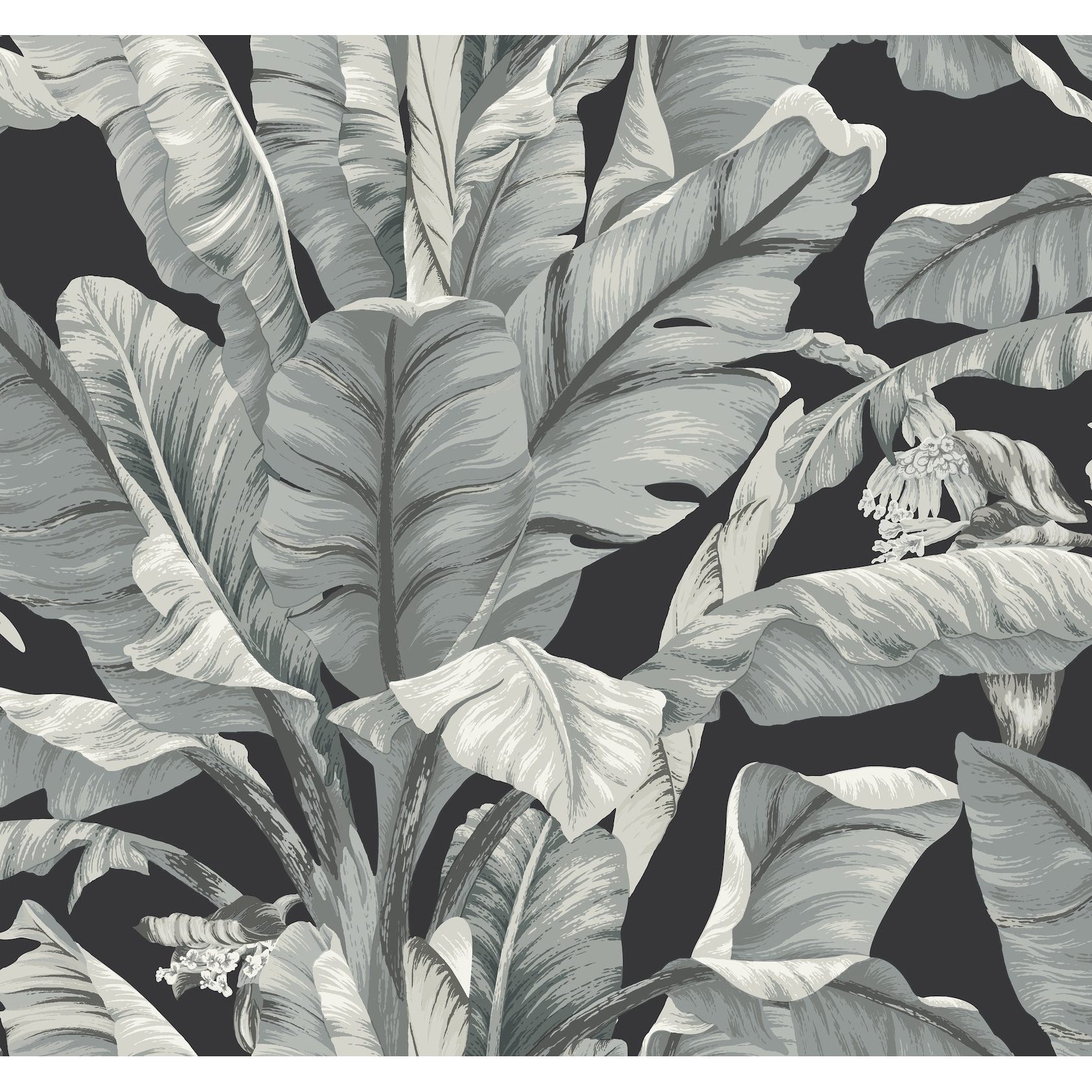 Inspired by Color Banana Leaf Black & White Wallpaper