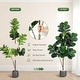 preview thumbnail 35 of 42, Artificial Fiddle Leaf Fig Tree with 48 Leaves in White Planter Pot, Faux Ficus Lyrata Plant for Home or Office Decor