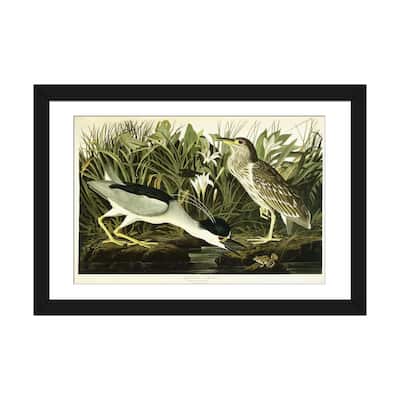 iCanvas "Night Heron or Lua Bird, 1835 " by John James Audubon