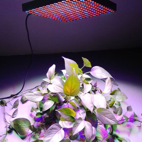 225 Led Red Blue Light Indoor Garden Plant Grow Light On Sale Overstock 31132498