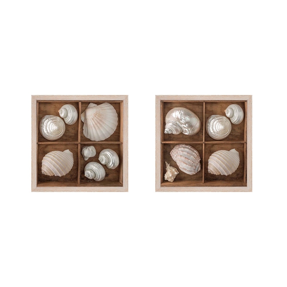 Assaf Frank 'Seashells Tresasures' Framed Art (Set of 2)