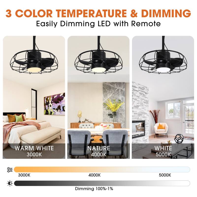20" Industrial Black Wet Outdoor Caged Ceiling Fan with Light and Remote