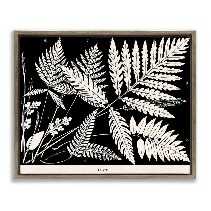 Stupell Overlapping Ferns on Black Framed Floater Canvas Wall Art Design By Phillipa Katz - 21 x 17 - Brown