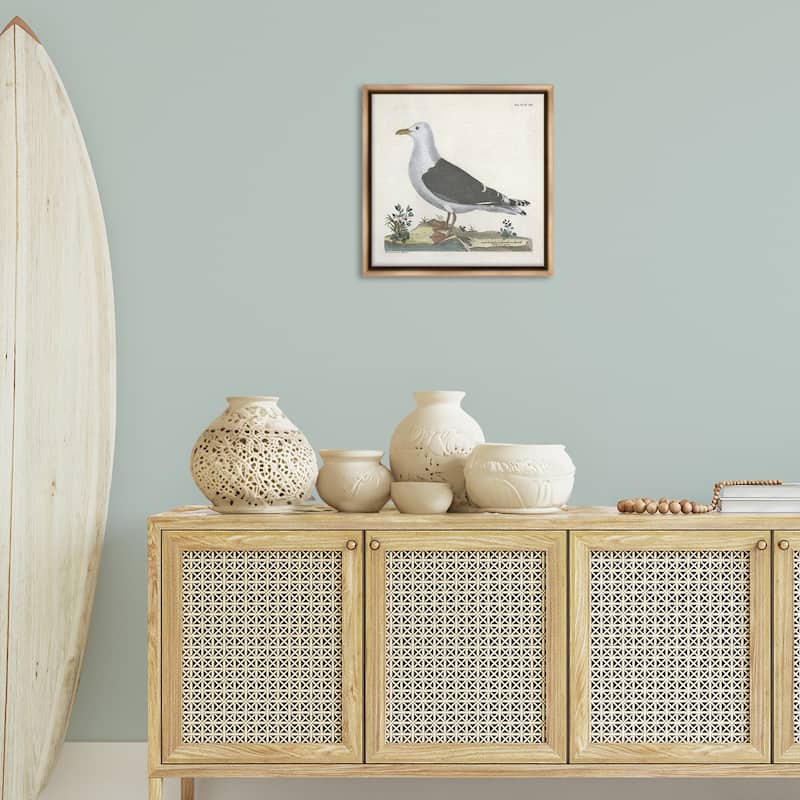 Stupell Vintage Seagull Study Diagram Framed Floater Canvas Wall Art Design By Phillipa Katz