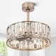 preview thumbnail 10 of 13, 20-In Nickel Caged Ceiling Fan with Light Remote(5-Blade)