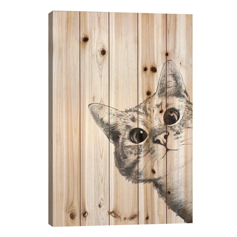 Sneaky Cat Print On Wood by Laura Graves - Multi-Color - 26x18x1.5