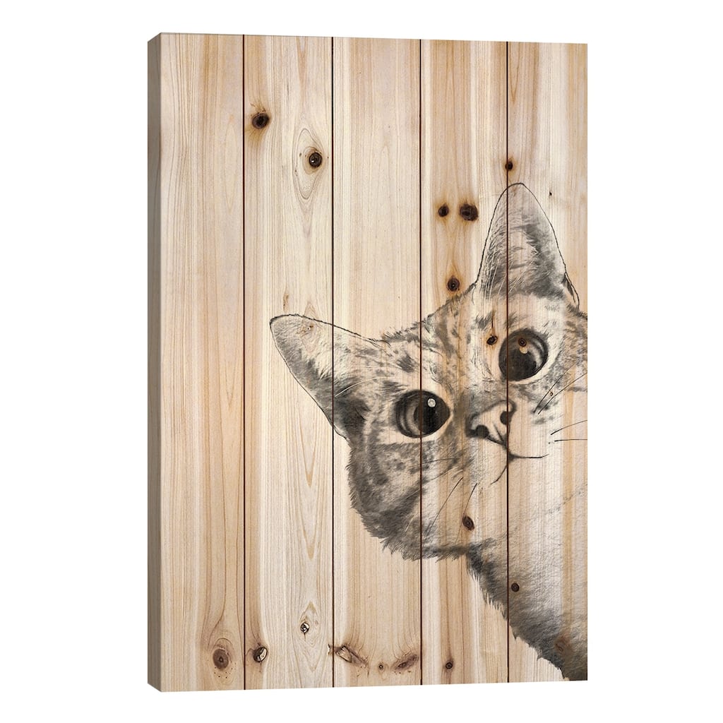 Sneaky Cat Print On Wood by Laura Graves - Multi-Color