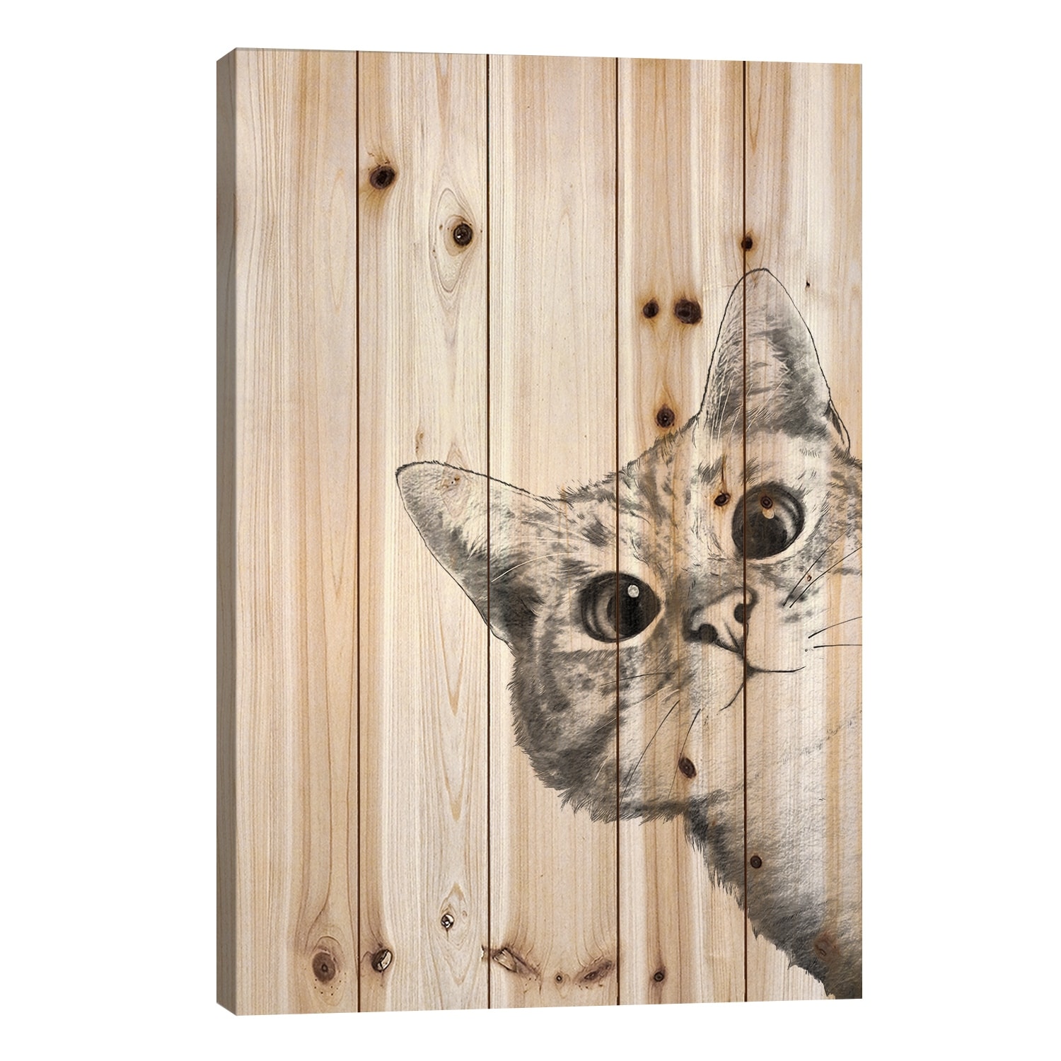 Sneaky Cat Print On Wood by Laura Graves - Multi-Color