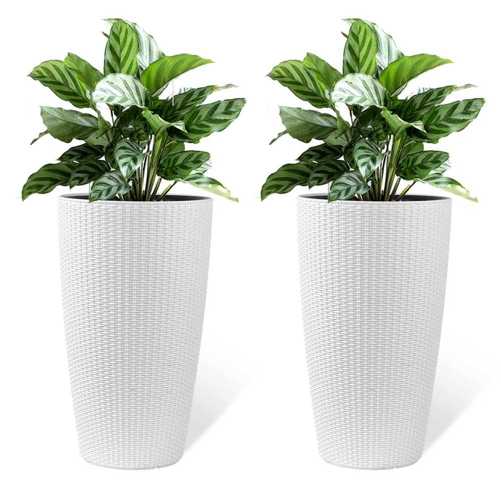 Set of 2 Tall Planters Large Planters with Water Level Monitor Inner Bucket, Automatic Watering, Flower Plant Pots( 22 inch )