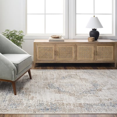 Noyes Traditional Medallion Area Rug