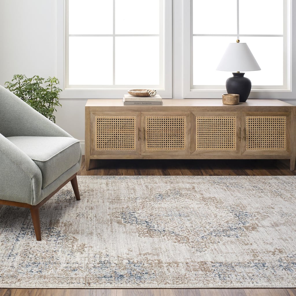 Noyes Traditional Medallion Area Rug
