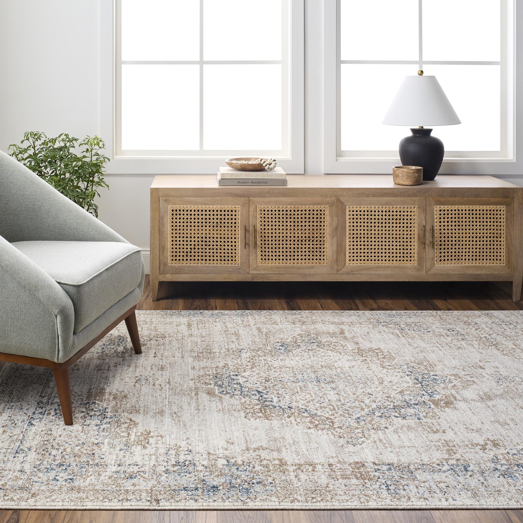Noyes Traditional Medallion Area Rug