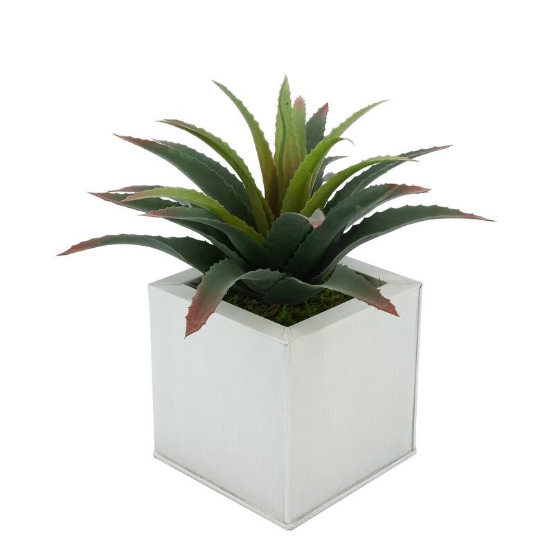 Faux Star Succulent in Square Zinc Planter - Cream