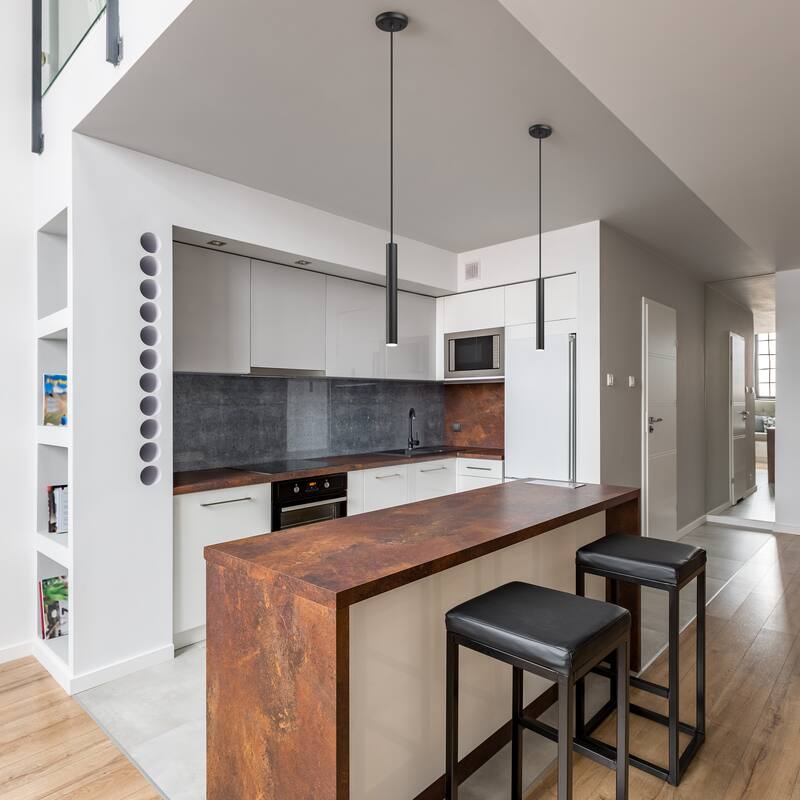 Z-Lite Forest 1 LightPendant