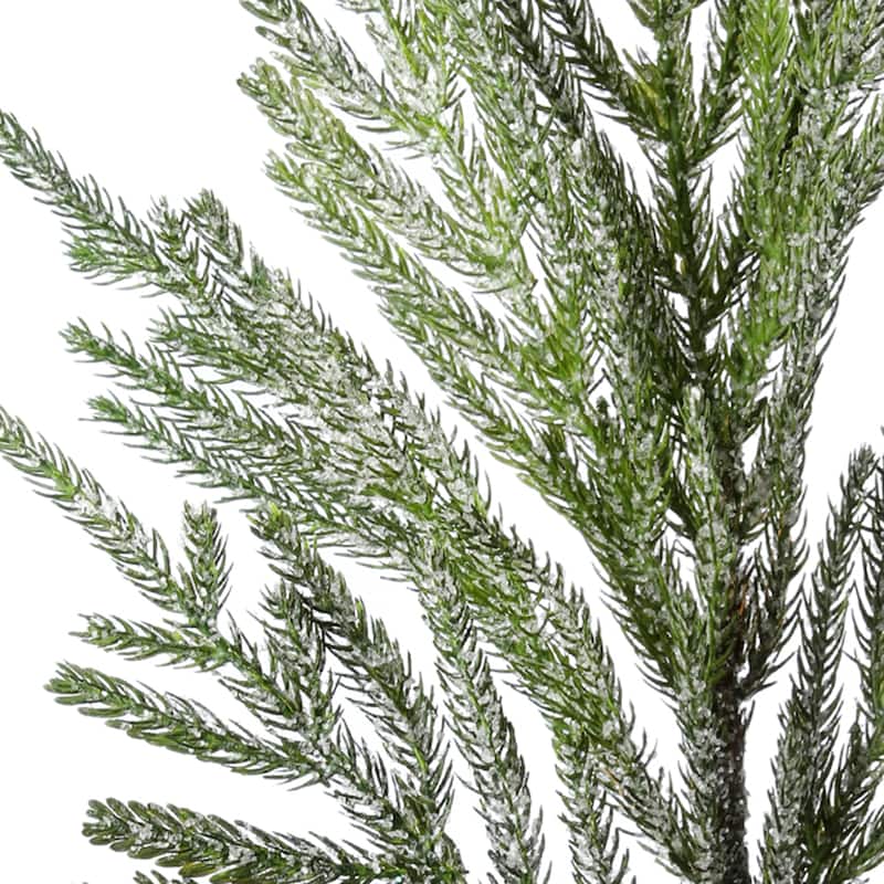 30" Iced Garden Norfolk Pine Branch Set of 3
