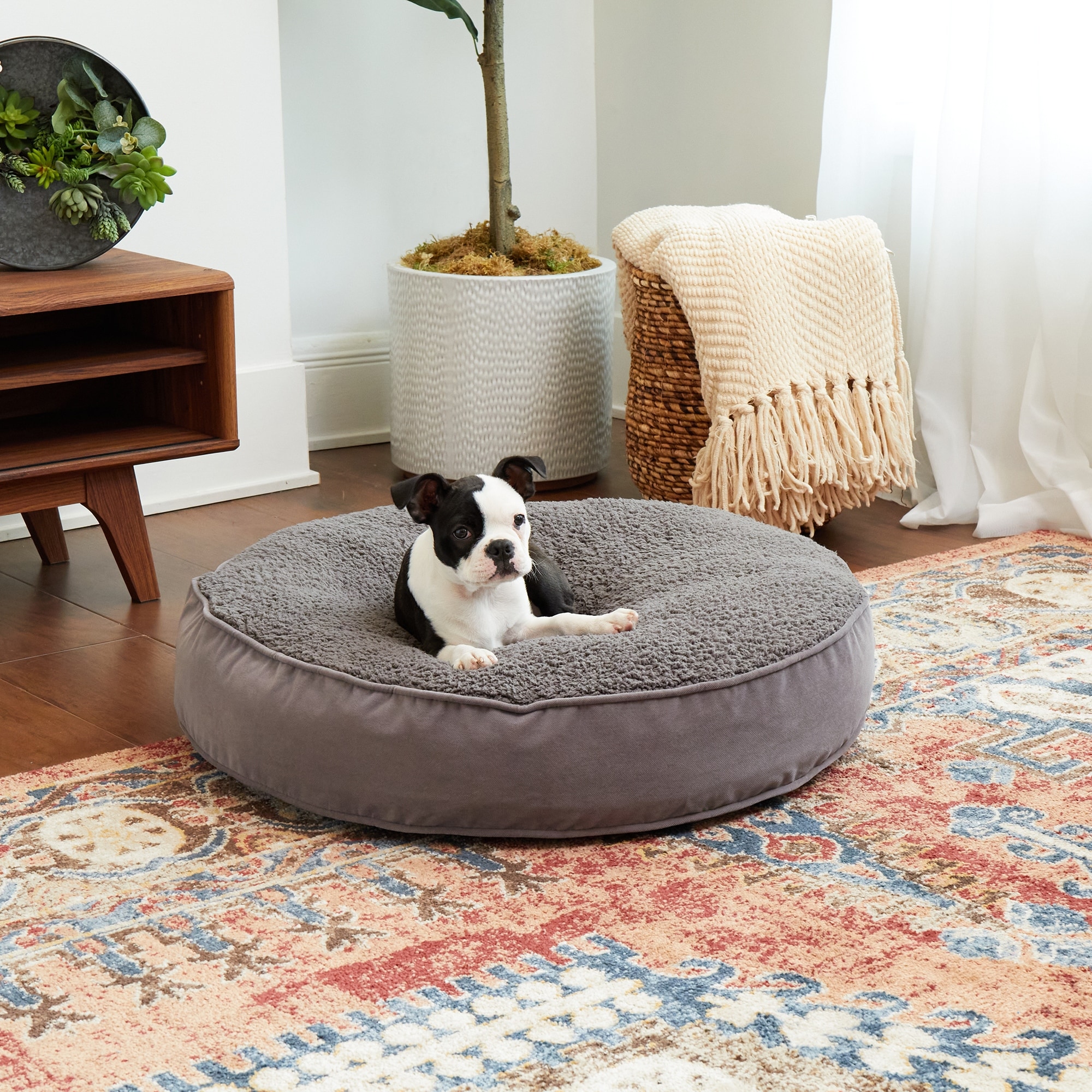 Happy Hounds Scout Deluxe Sherpa Round Dog Bed