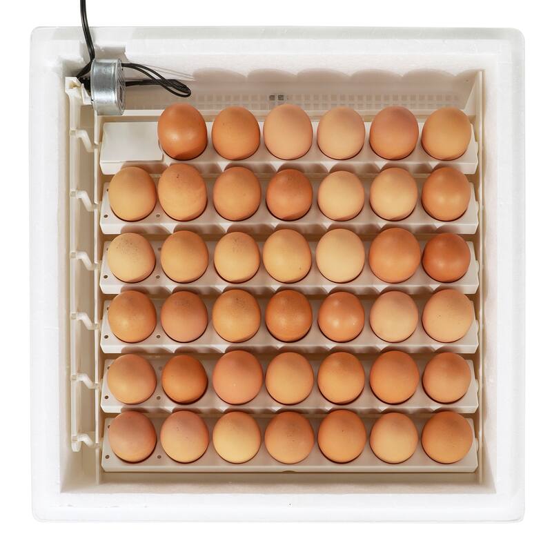 Farm Innovators 4250 Digital Circulated Air Incubator, w/Auto Egg Turner, 4 Pack - 8.75