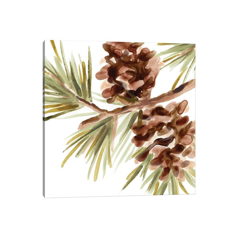 iCanvas "Simple Pine Cone IV" by June Erica Vess Canvas Print