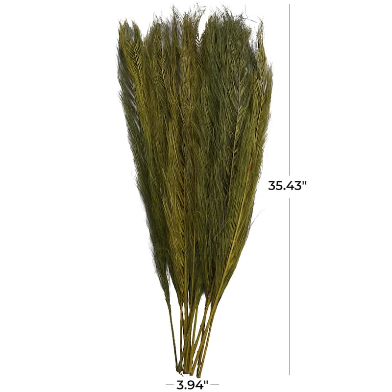 Dried Plant Feather Like Leaves Floral Bouquet Home Decor Natural Foliage with Stems - White, Brown, Green - Roche River Decor