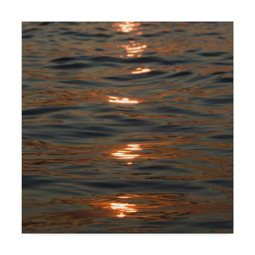 Kurt Shaffer 'Sunset Zen Reflections' Canvas Art