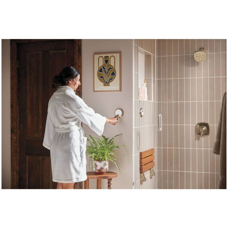 Delta 5CN-220R SteamScape Round Auxiliary Exterior Steam Shower