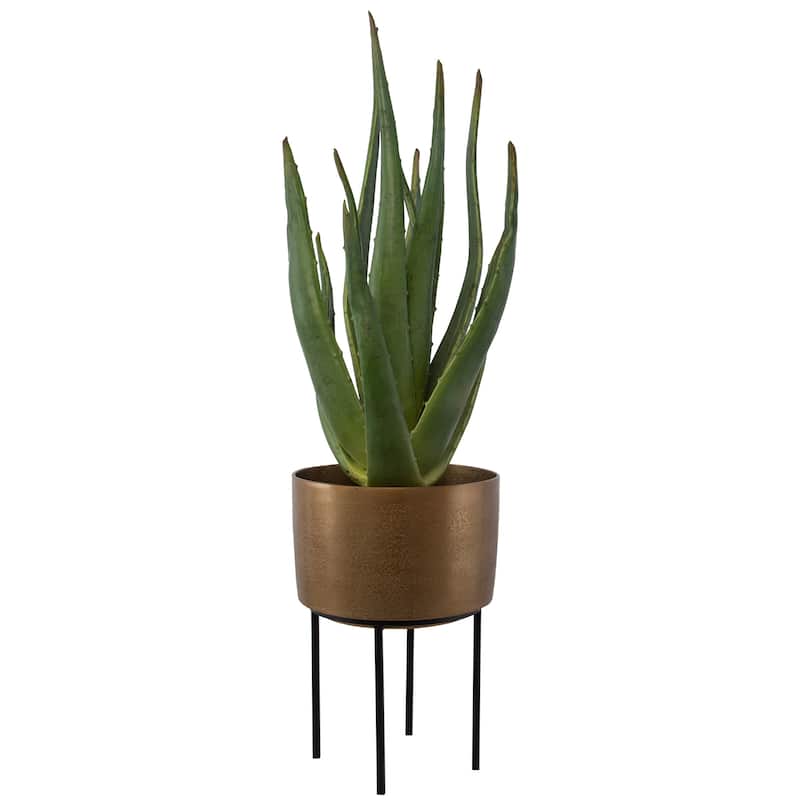 Uttermost Arabia Aloe Planter - 19.7"W x 37"H x 19.7"D