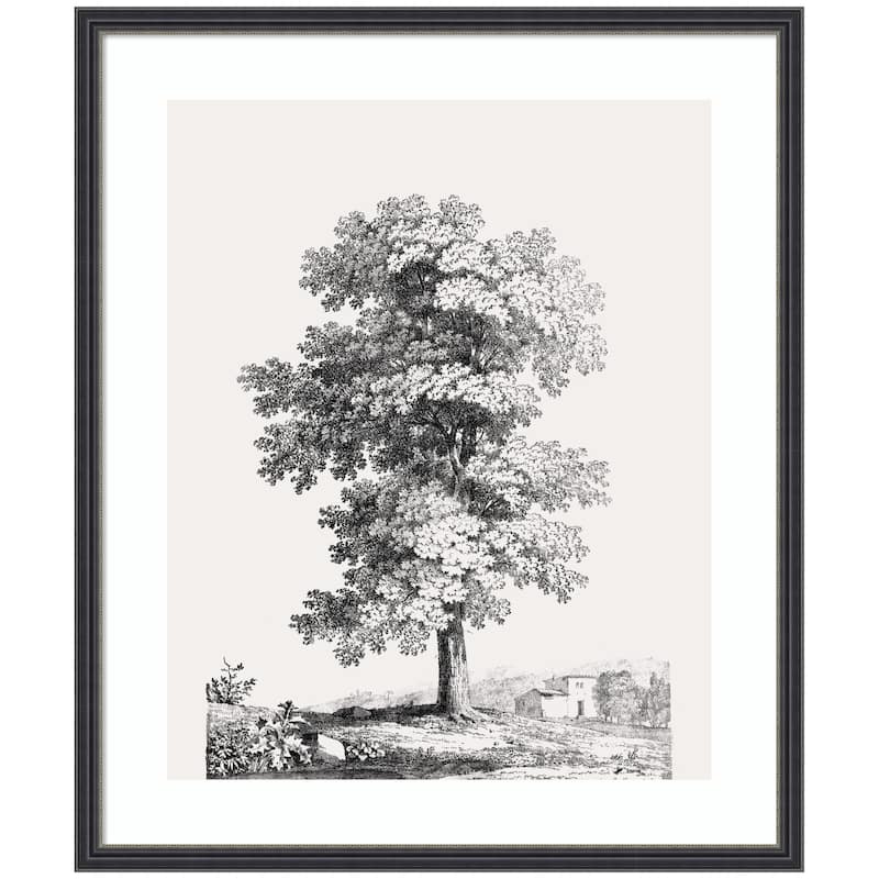 Kate and Laurel Framed Art Jean Victor Bertin Study of a Tree 1816 by The Art Institute of Chicago - 21x25 - Black