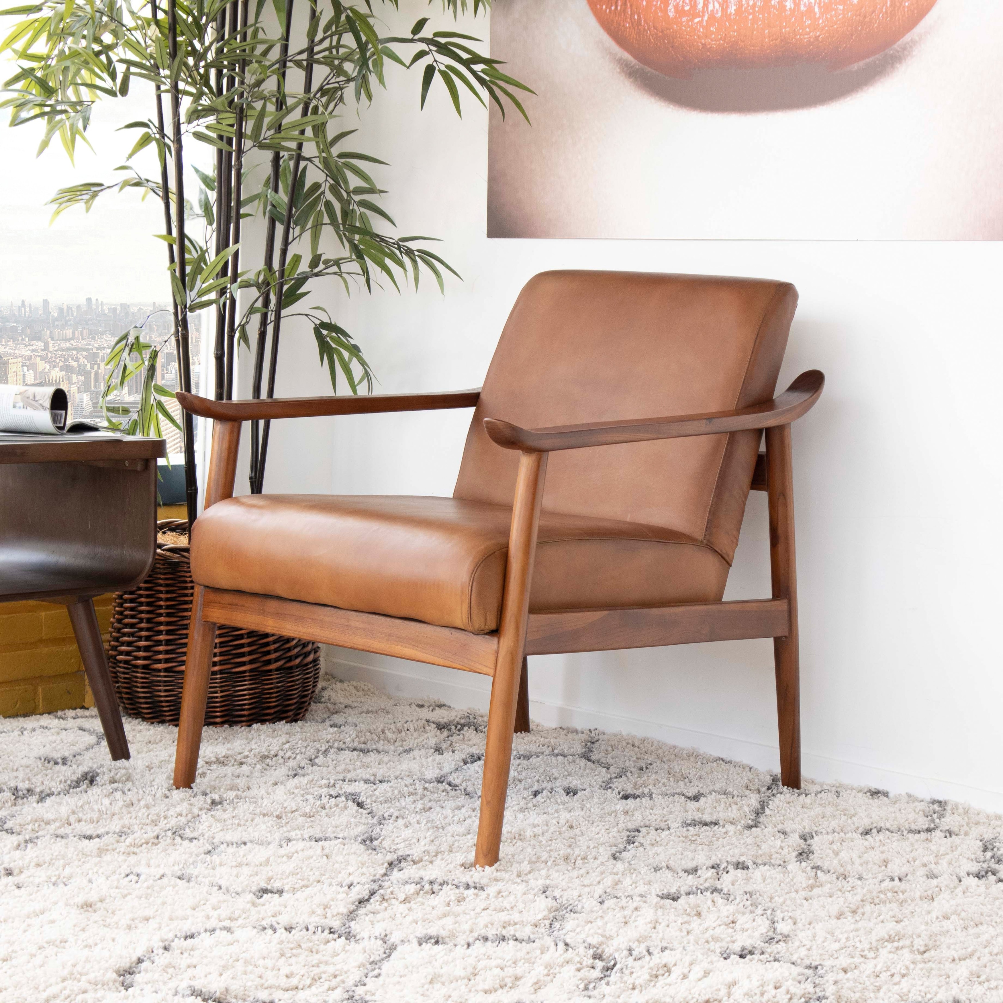 Mid Century Modern Furniture Harmony Genuine Leather Arm Chair - N