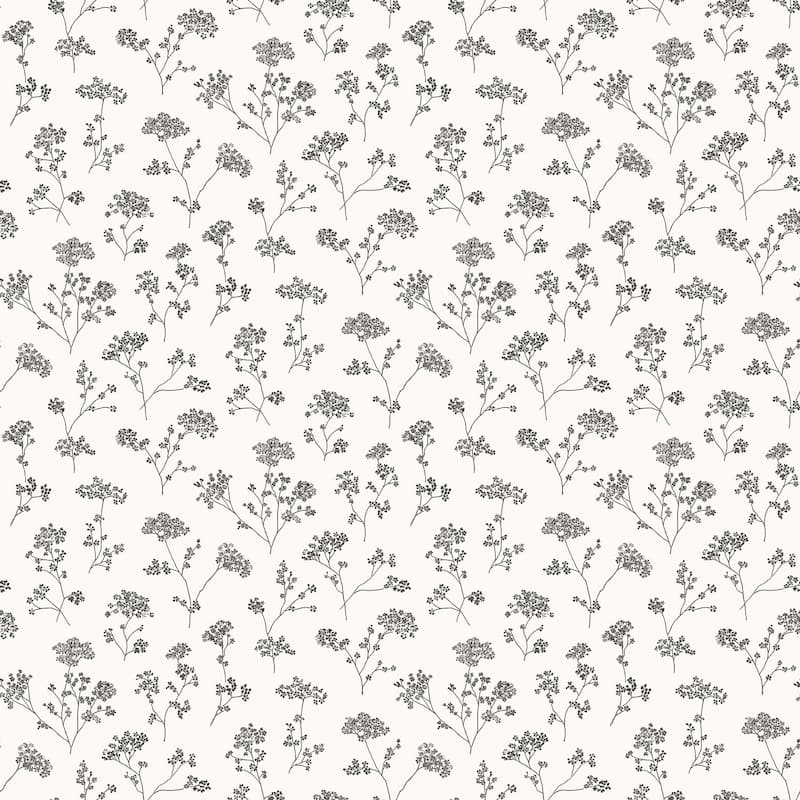 Galerie Wallcoverings Miniatures 3 Cow Parsley Floral Trail Vinyl on Non-woven Matte Wallpaper Roll - 33 feet x 21 inches - Black