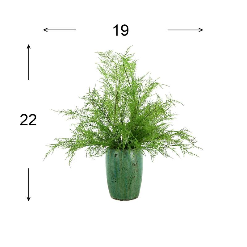 Organic Modern Ferns Arranged in a Ceramic Pot - Green