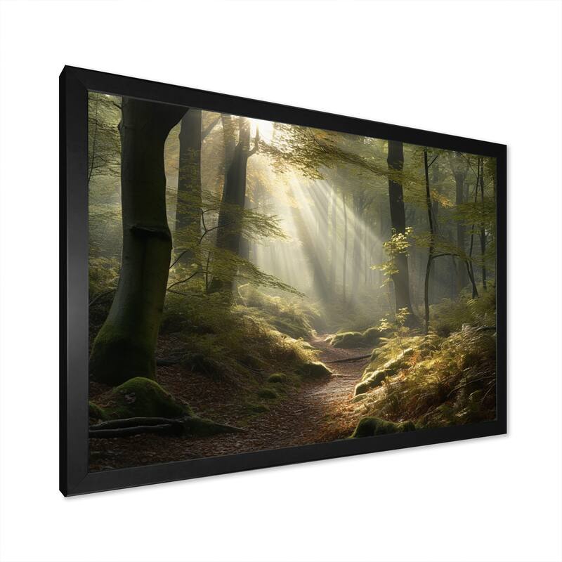 Designart "Light Streams Through Forest Iii" Landscape Forest Framed Canvas Art Print