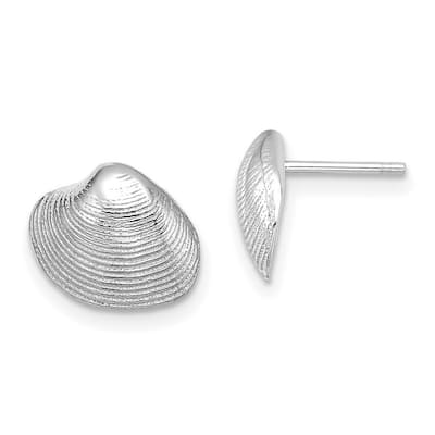 Curata 14k White Gold Clam Shell Post Earrings - 9x11mm