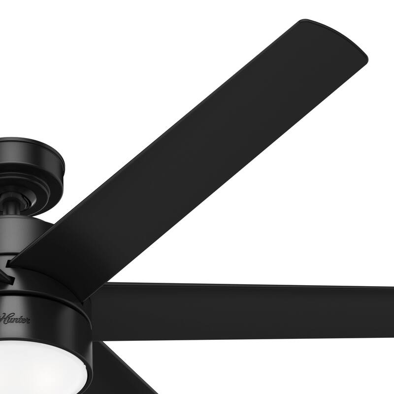 Hunter 60" Solaria Outdoor Damp-Rated Ceiling Fan with LED Light Kit and Wall Control - Contemporary, Industrial - ENERGY STAR!